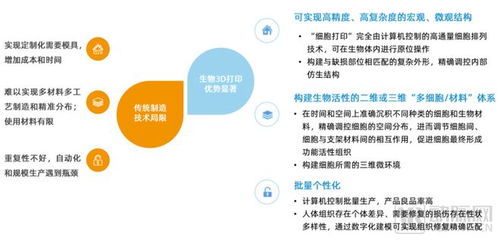 技術(shù)替代與商業(yè)化雙輪驅(qū)動 細(xì)胞再生材料與組織工程成潛力賽道