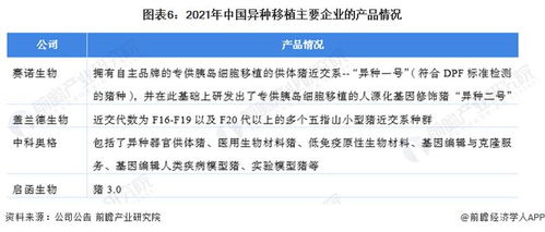 洞察2022 中國異種移植行業(yè)競爭格局深度解析——研發(fā)對(duì)比、投融資與業(yè)務(wù)布局盤點(diǎn)